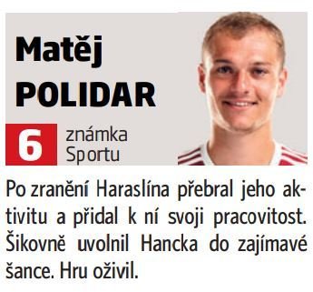 Matěj Polidar