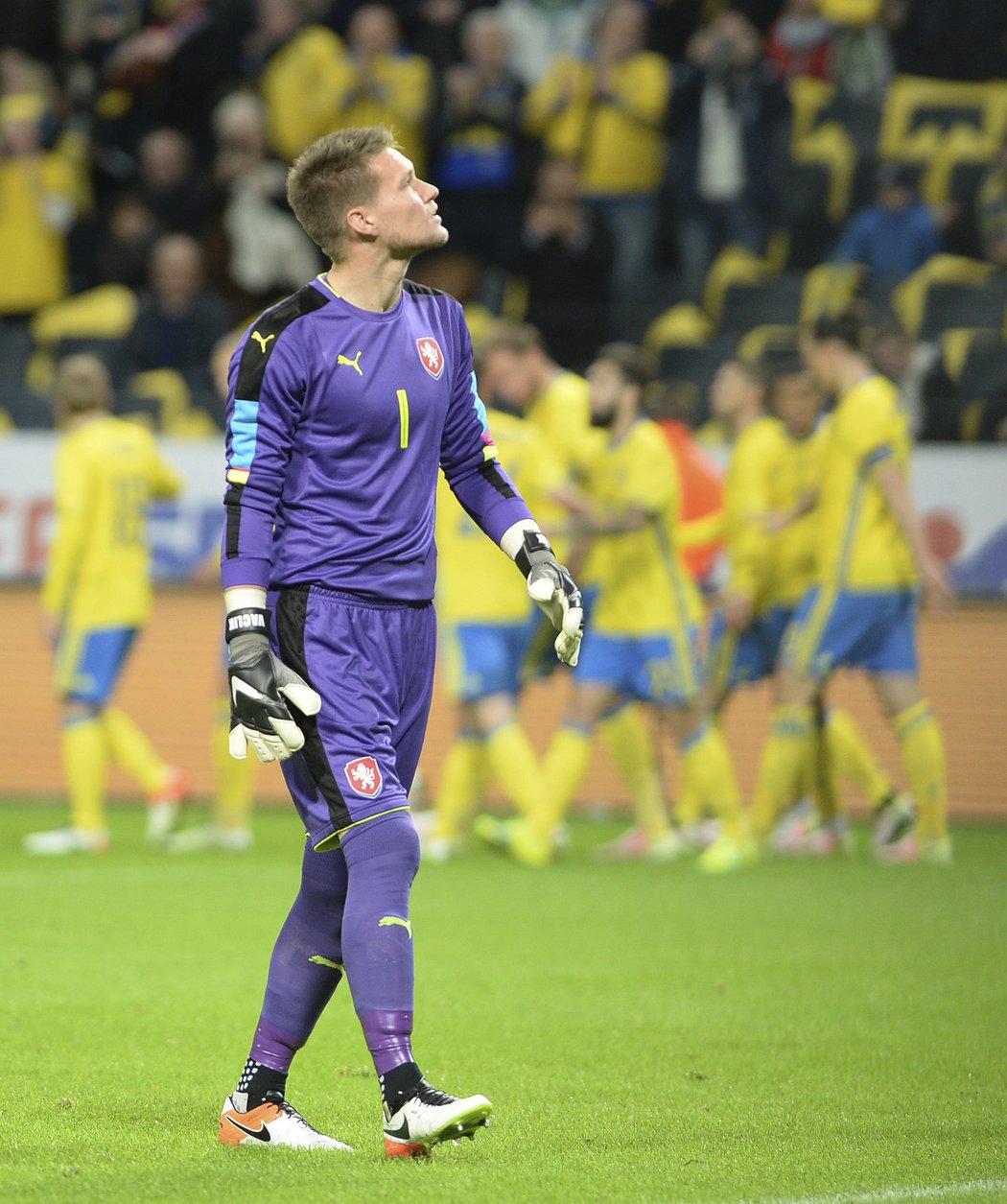 Český gólman Tomáš Vaclík po brance od švédského týmu