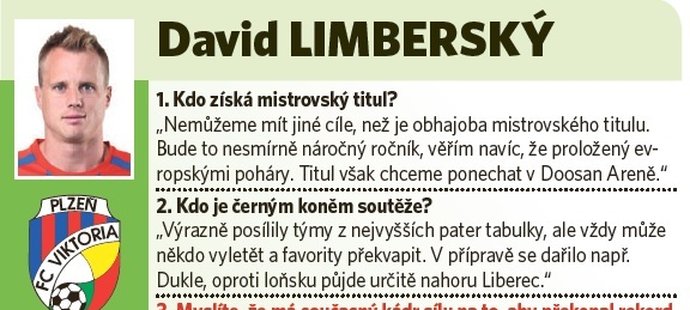 Kapitán Plzně David Limberský