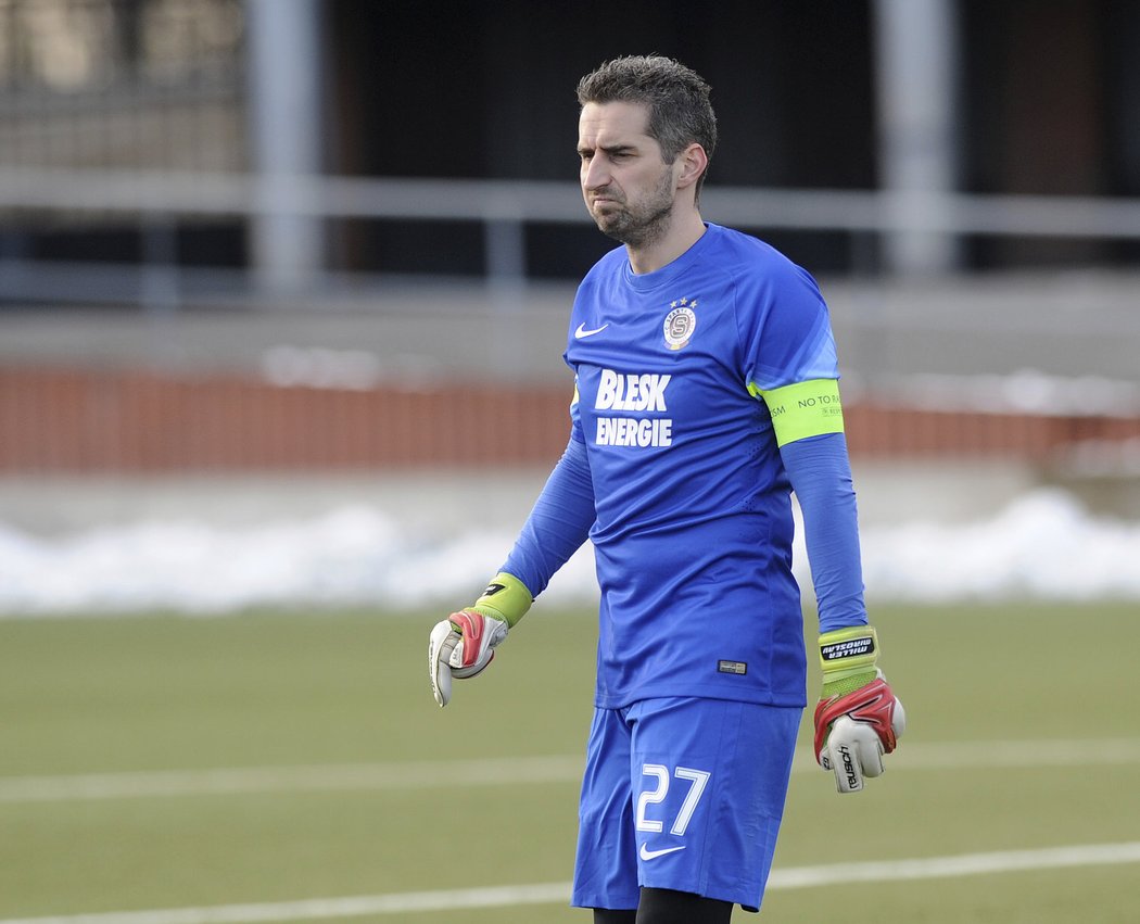 45 % - MIROSLAV MILLER, brankář, 35 let, Pořizovací cena: volný hráč, Předchozí klub: FK Mladá Boleslav, Starty/góly ve Spartě: 5/0 