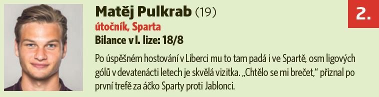 2. místo - Matěj Pulkrab