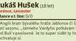 16. Lukáš Hušek (18 let, obránce, Leicester)