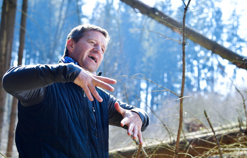 Fotbalový kouč Josef Csaplár by se uživil i jako dřevorubec. Pod Kozákovem pomáhá likvidovat kůrovcovou kalamitu...