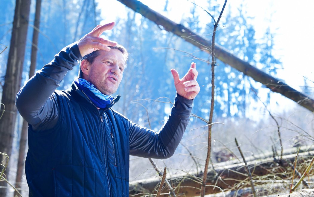 Fotbalový kouč Josef Csaplár by se uživil i jako dřevorubec. Pod Kozákovem pomáhá likvidovat kůrovcovou kalamitu...