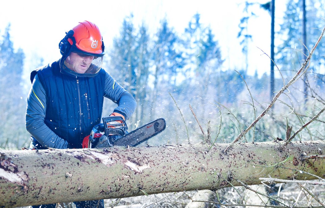 Fotbalový kouč Josef Csaplár by se uživil i jako dřevorubec. Pod Kozákovem pomáhá likvidovat kůrovcovou kalamitu...