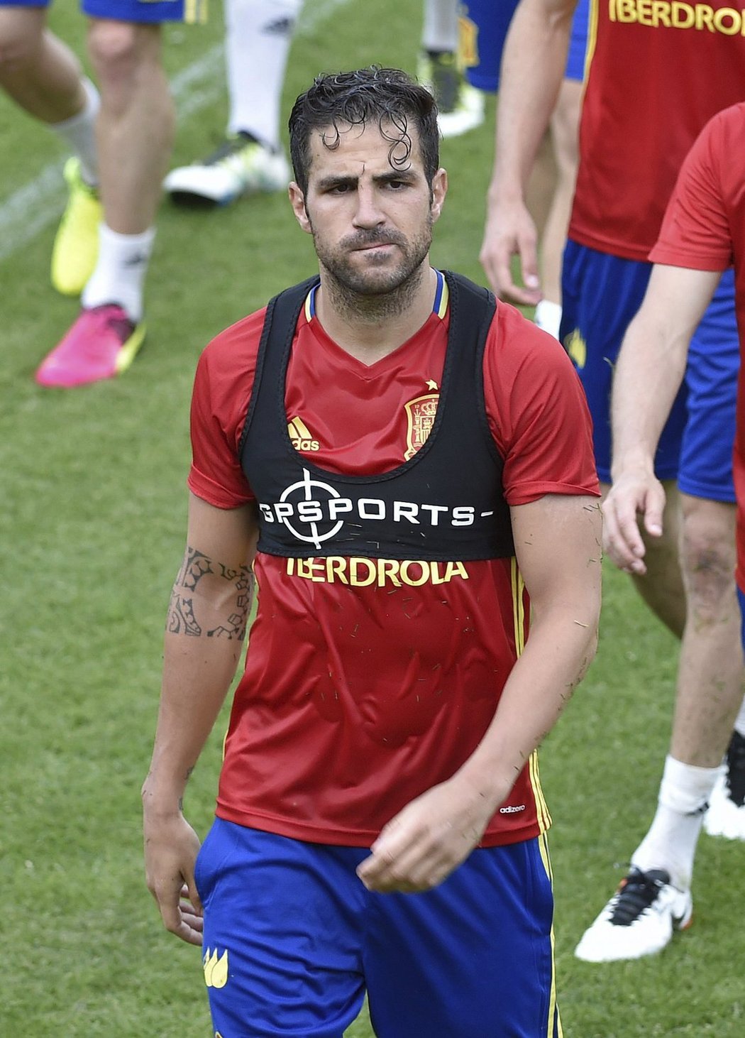 26. Cesc Fábregas (Španělsko, záložník, Chelsea)