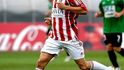 Žižkovský Petr Švancara
