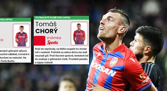 ZNÁMKOVÁNÍ Plzně: Chorý je rváč do nepohody, Šulc sjel z gólové vlny