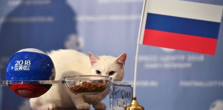 Kocour Achilles při slavnostním ceremoniálu vybral misku s jídlem, na které byla ruská vlajka.