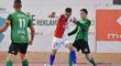 Futsalová Slavia si poradila s Žabynskými Vlky Brno