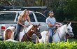 Gisele Bündchenová, exmanželka nejlepšího hráče amerického fotbalu Toma Bradyho, se projela na koni společně se svým trenérem bojového umění jiu-jitsu. Je mezi nimi něco víc?