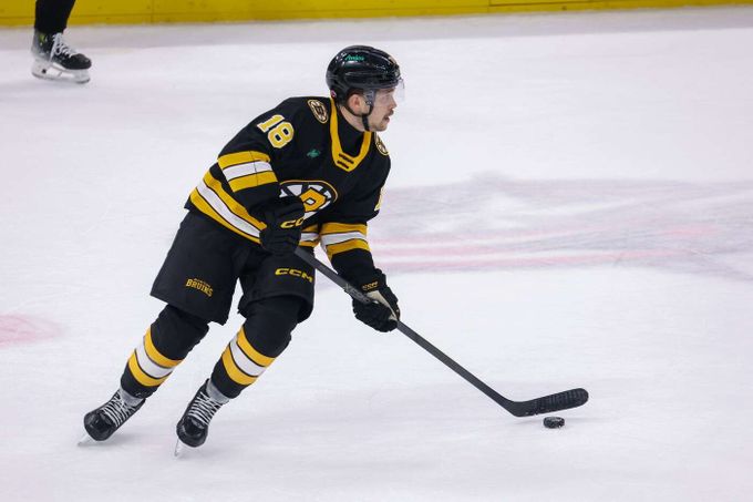 Kde vzít hráče na olympiádu? Despekt stranou a rychle za oceán. K NHL má nejblíž AHL Kde vzít hráče na olympiádu? Despekt stranou a rychle za oceán. K NHL má nejblíž AHL