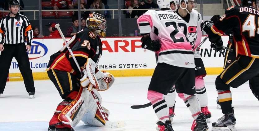 Do zámoří odešel David Rittich loni v létě z Mladé Boleslavi, v červnu podepsal jako nedraftovaný volný hráč s Calgary roční smlouvu.