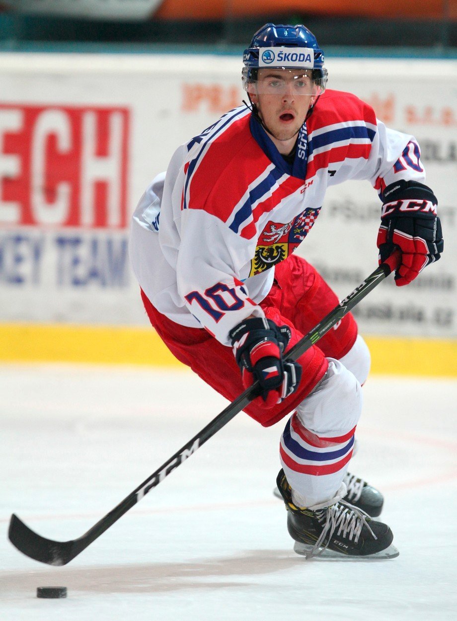 Dvacetiletý mládežnický reprezentant Filip Hronek patří mezi přední obránce AHL