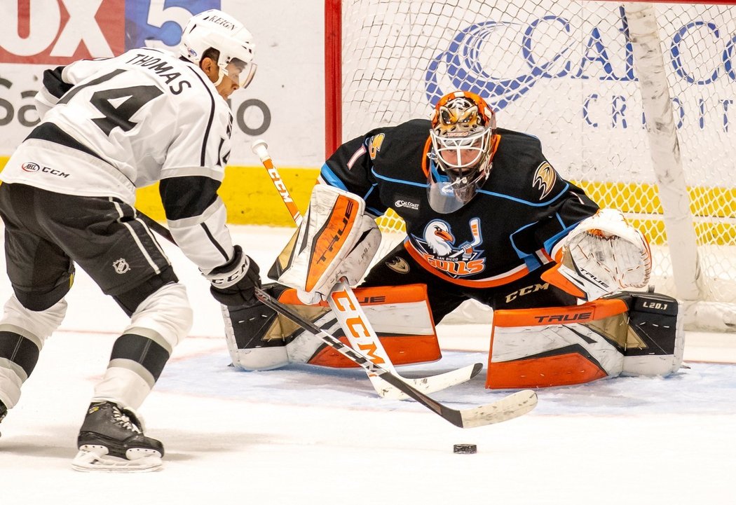 Lukáš Dostál v brance San Diego Gulls, farmy Anaheimu