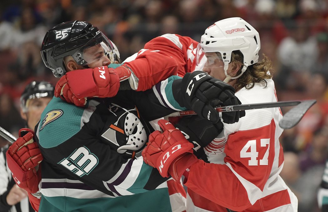 Obránci poražených Red Wings Hronek a Šulák nebodovali. Druhý jmenovaný si alespoň střihl boxerskou vložku.