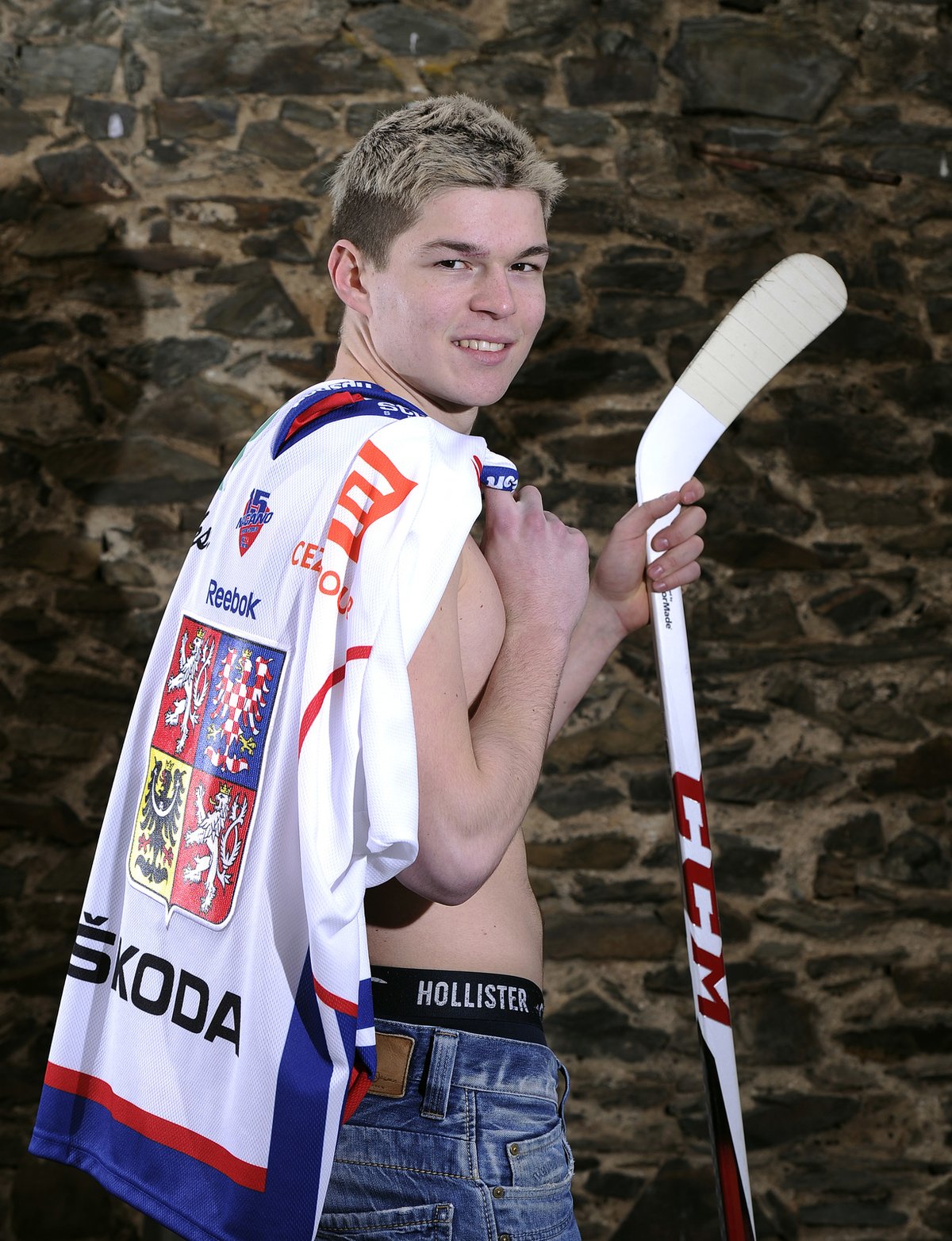 2013 Tomáš Hertl .