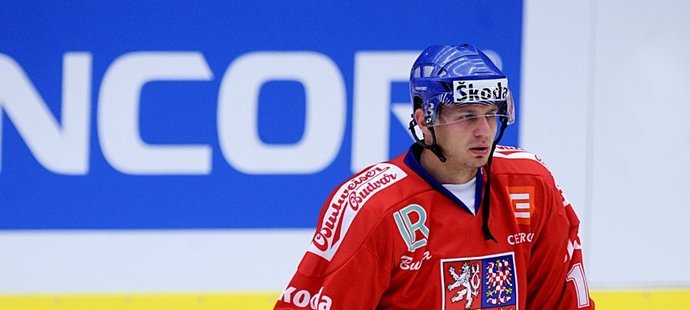 Pavel Brendl v utkání proti Finsku.