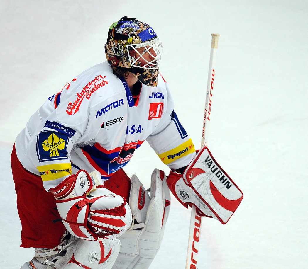 Soustředěný Roman Turek.