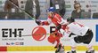 Utkání Českých hokejových her mezi Českem a Rakouskem