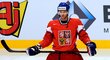 Jeden z nejlepších českých hokejových útočníků David Krejčí v reprezentaci