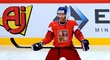 Jeden z nejlepších českých hokejových útočníků David Krejčí v reprezentaci