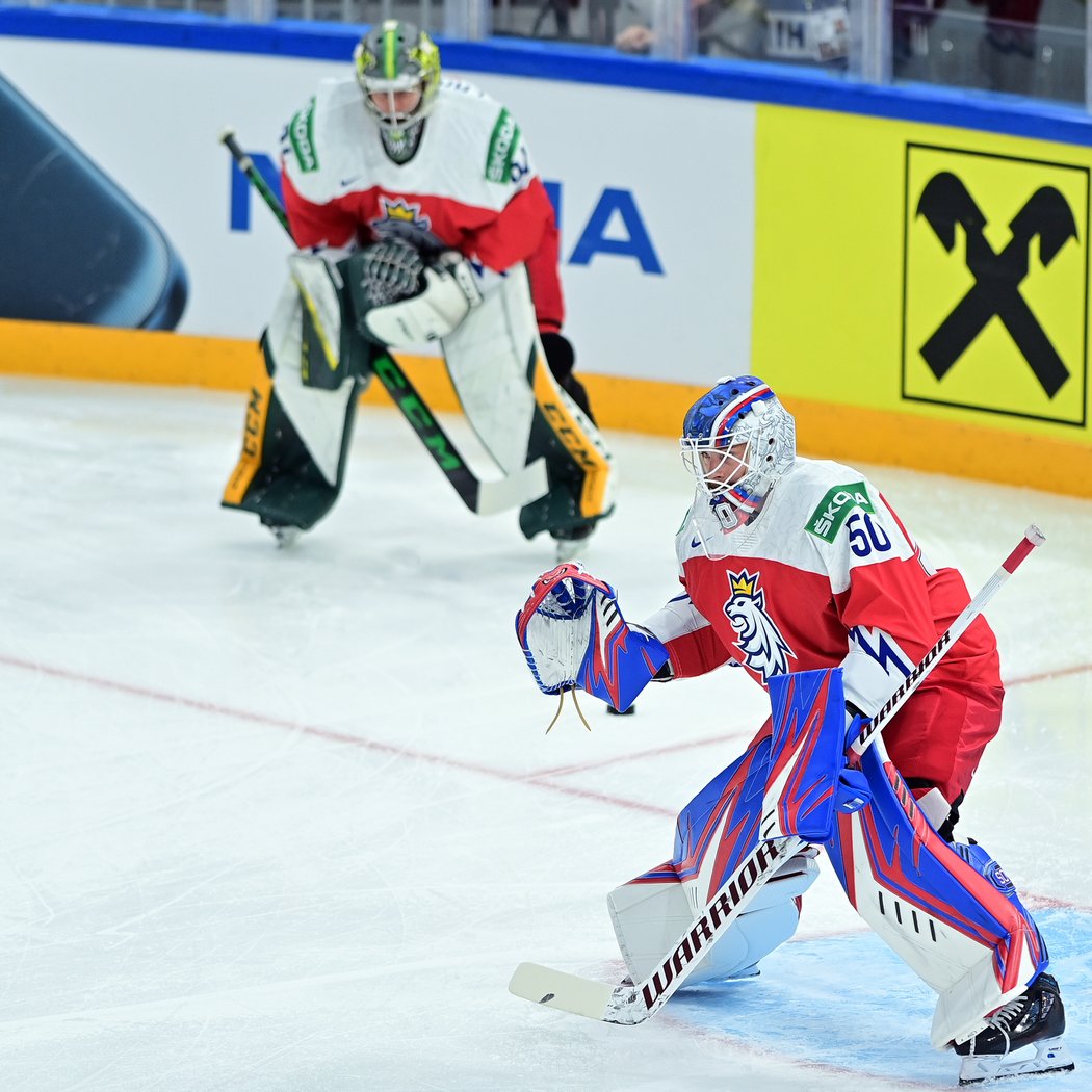 Brankář české národní hokejové reprezentace Marek Langhamer