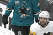 Tomáš Hertl vstřelil v této sezoně NHL už přes 20 branek