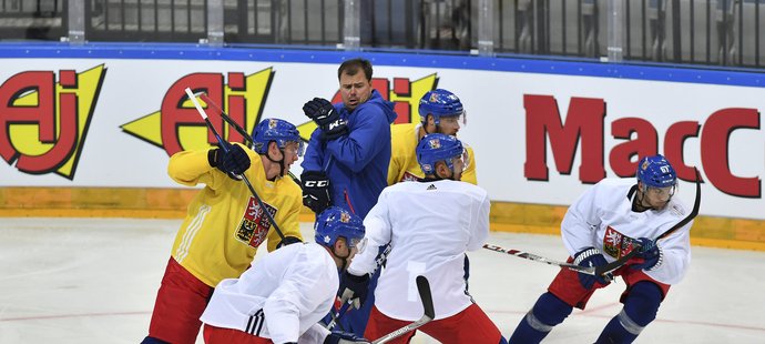Čeští hokejisté během přípravy na Světový pohár