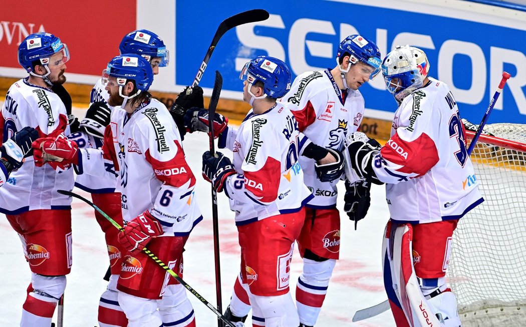 Čeští a slovenští hokejisté v přípravném utkání před světovým šampionátem