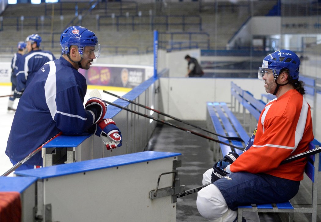 Porada mistrů: Tomáš Plekanec se na střídačce baví s odpočívajícím Jaromírem Jágrem