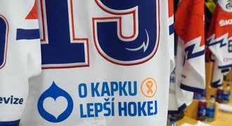 Hokej vybral dvakrát víc na boj s leukémií než loni, Jágrův dres za 45 tisíc