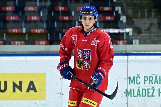 Úplně nejhorší varianta se vyloučila, ulevilo se Cibulkovi. Bál se, že olympiáda je v trapu Úplně nejhorší varianta se vyloučila, ulevilo se Cibulkovi. Bál se, že olympiáda je v trapu