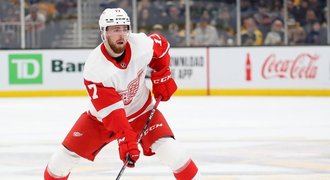 Hronek: Rybaření je fajn, ale už chci hrát. Nik Kronwall je super chlap