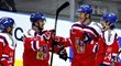 Finsko - Česko 1:7. Hokejisté smetli Suomi a s Rusy budou hrát o titul