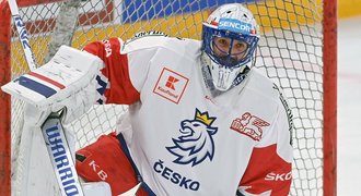 Hrubec hlásí: Beru jakoukoliv pozici. České play off? Reklama na hokej