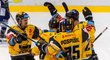 Litvínovští hokejisté oslavují vstřelenou branku