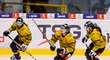Litvínovští hokejisté v dresech věnovaných dobročinné akci Vlasatý zápas