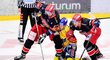 Hradečtí hokejisté srazili na kolena českobudějovického útočníka Matěje Tomana