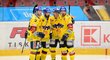 Českobudějovičtí hokejisté se radují po vstřelení gólu