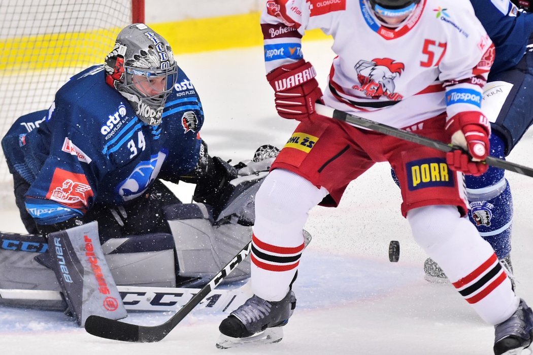 Gólman Plzně Dominik Frodl v zápase s Olomoucí