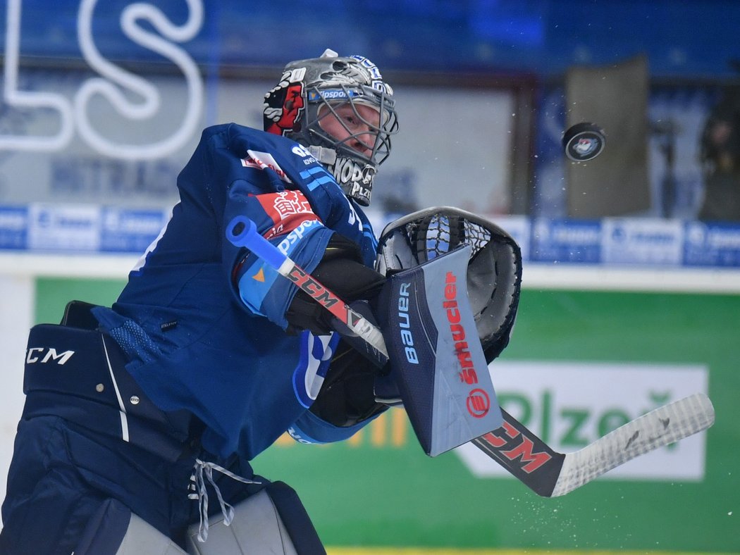 Gólman Plzně Dominik Frodl