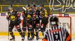 Hokejisté Litvínova se radují z gólu