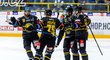 Litvínovští hokejisté se radují ze vstřelené branky
