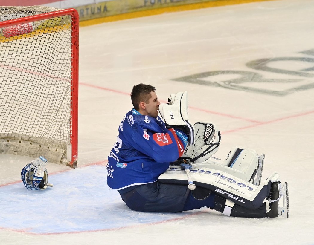 Plzeňský brankář Dominik Pavlát byl nepříjemně zasažen