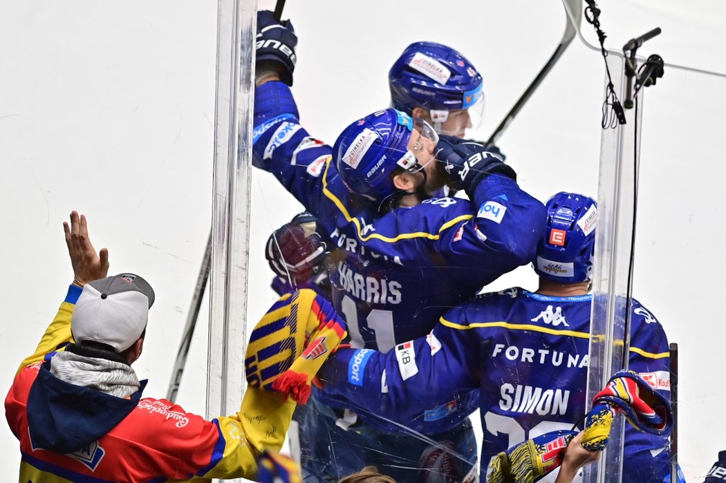 Českobudějovičtí hokejisté se radují z gólu