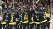 Litvínovští hokejisté po domácím vítězství nad Pardubicemi míří do čela tabulky