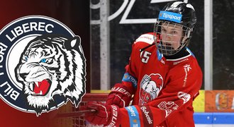 Liberec sebral Olomouci talent (17). Když ho posune do NHL, vydělá balík
