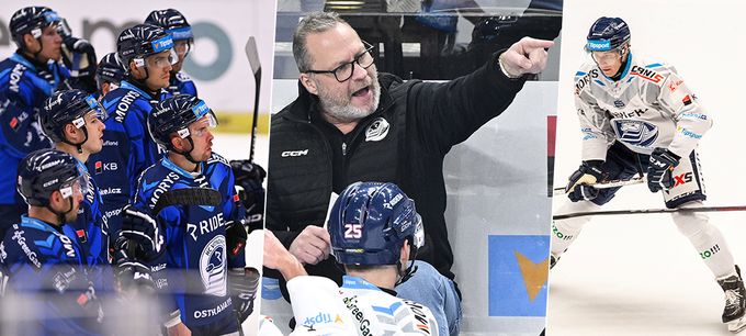 Prohry i hvězdy na tribuně. Vítkovice čekají duely pravdy. Co kouč? Prohry i hvězdy na tribuně. Vítkovice čekají duely pravdy. Co kouč?