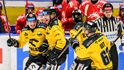 Litvínovští hokejisté se radují z gólu